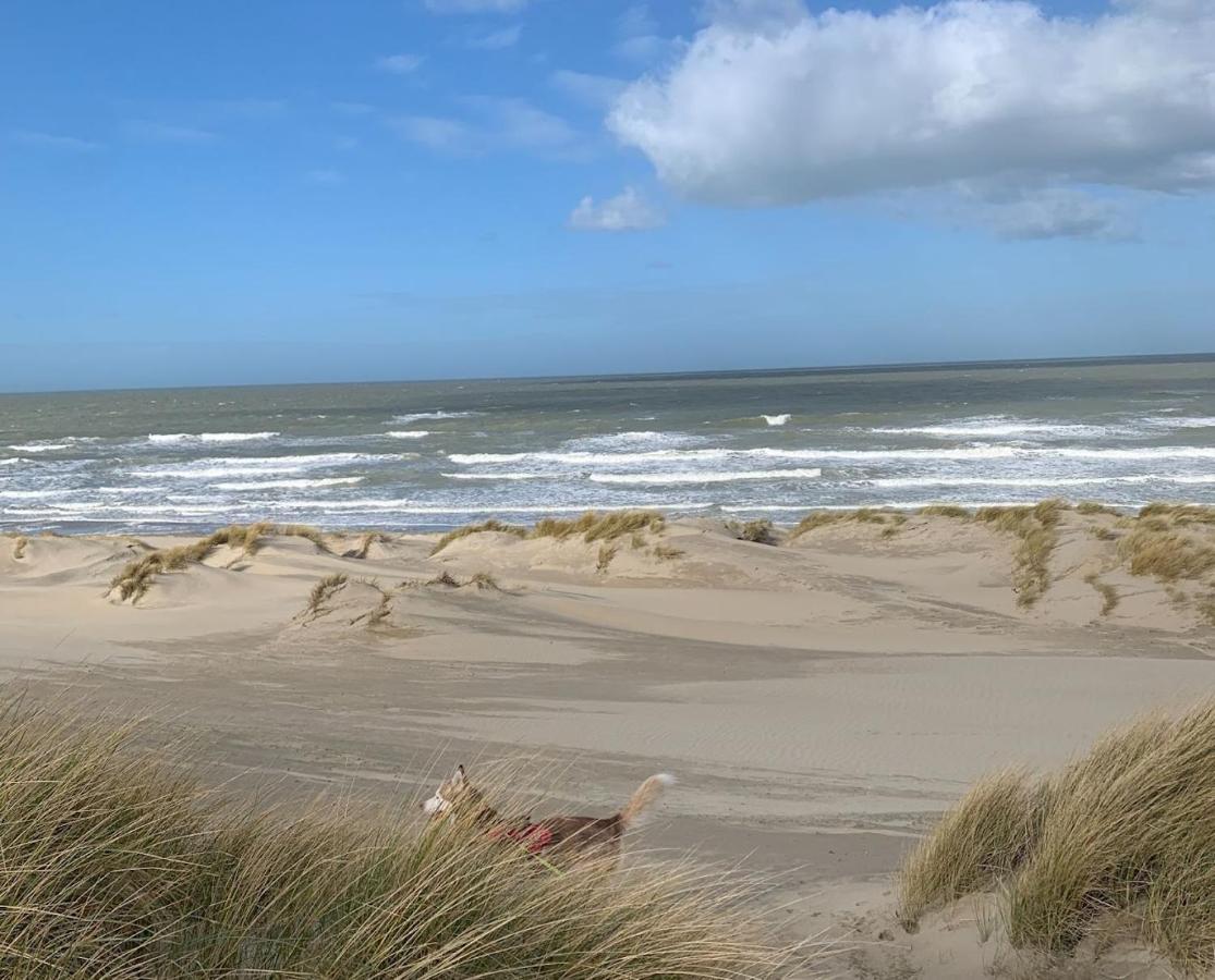 Moderne Studio Aan Het Strand In Oostduinkerke-Bad Koksijde Kültér fotó